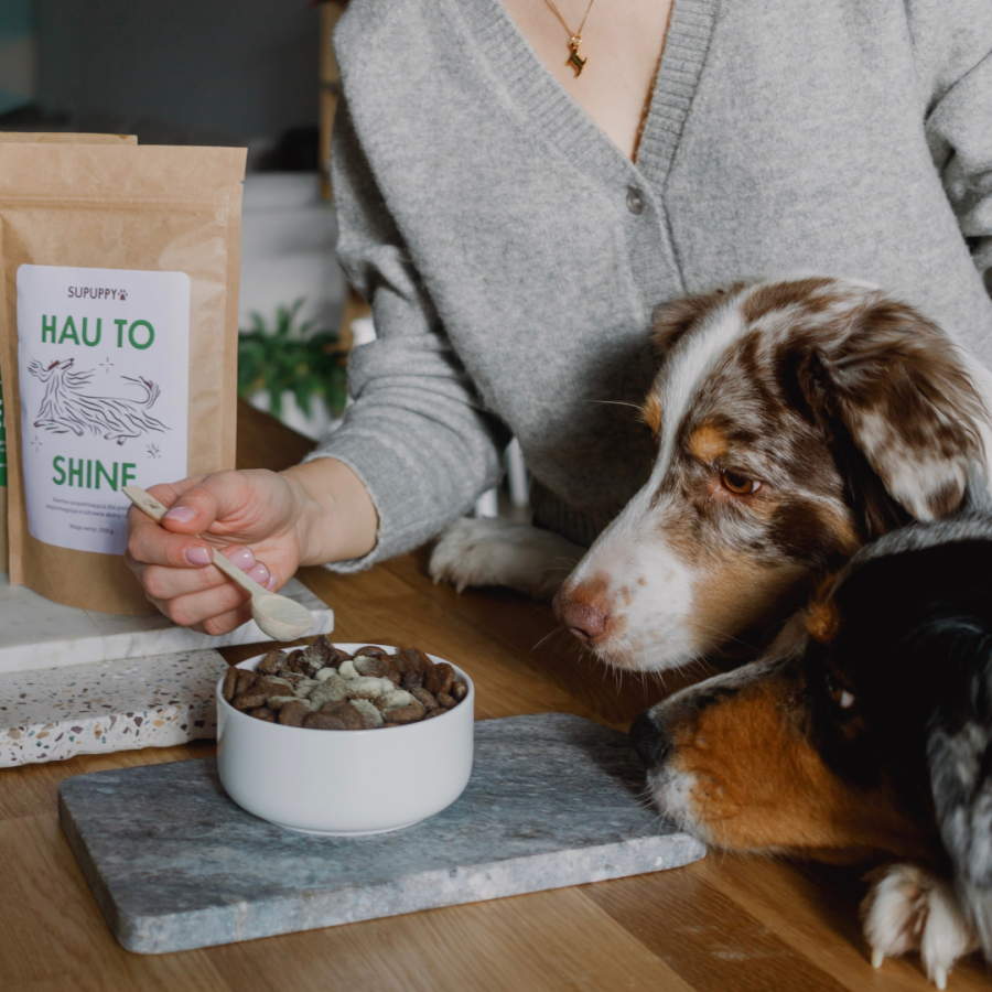 SUPUPPY HAU TO SHINE - naturalny suplement na skórę i sierść dla psa - obrazek 5