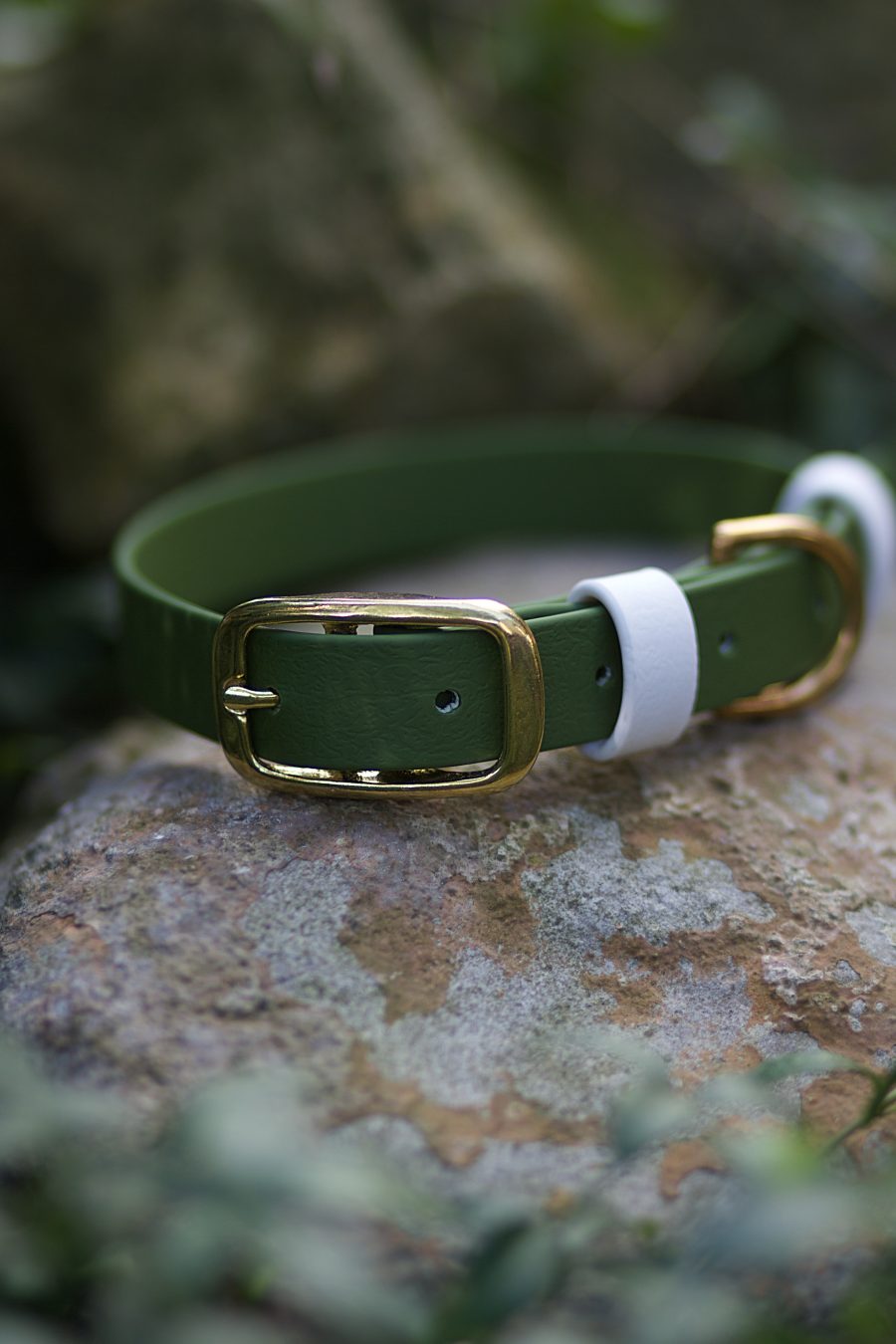 SKYWEARIT obroża na sprzączkę  20 mm - S  (35 - 45 cm) różne kolory