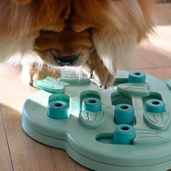 GRA NINA OTTOSSON PUPPY HIDE N SLIDE GREEN