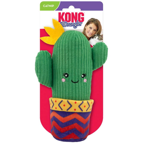 kong kaktus na gumce z doniczką