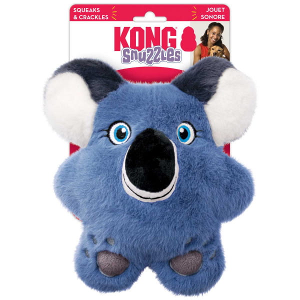 niebieski miś koala