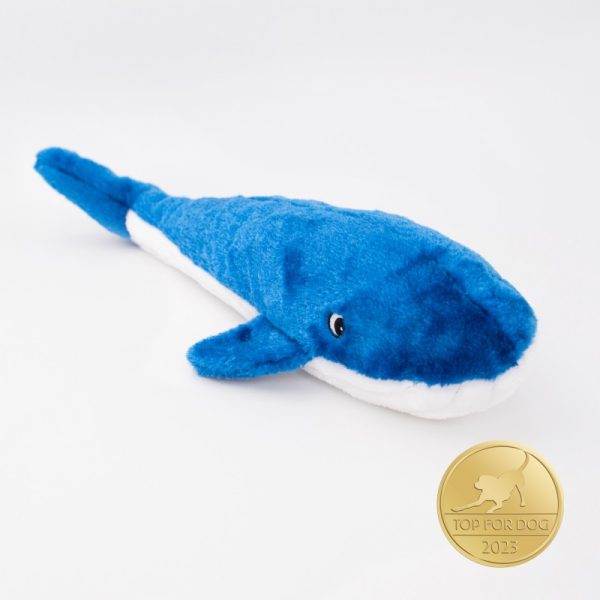 płetwal błękitny