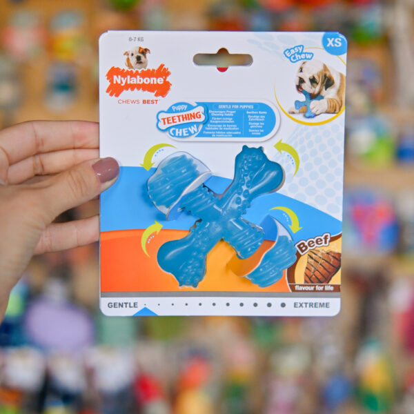 Nylabone Beef Puppy X Shaped Chew XS - mały elastyczny gryzak dla szczeniaka, o smaku wołowiny