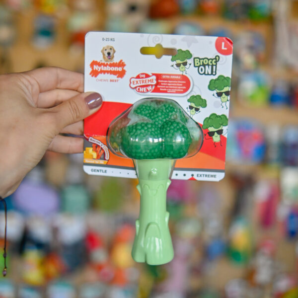 Nylabone Power Chew Broccoli - twardy gryzak dla psa, brokuł o zapachu sera z bekonem