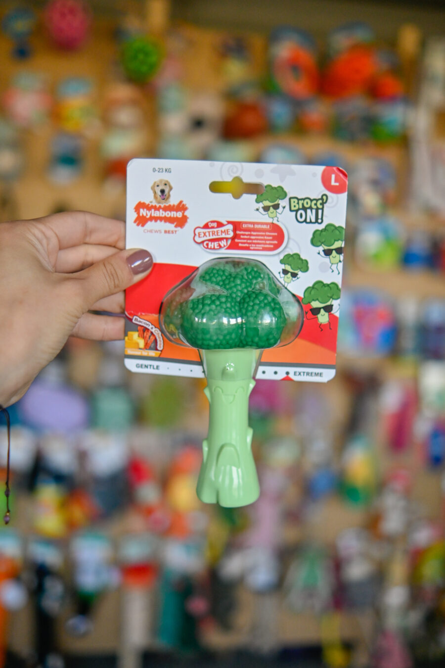 Nylabone Power Chew Broccoli - twardy gryzak dla psa, brokuł o zapachu sera z bekonem
