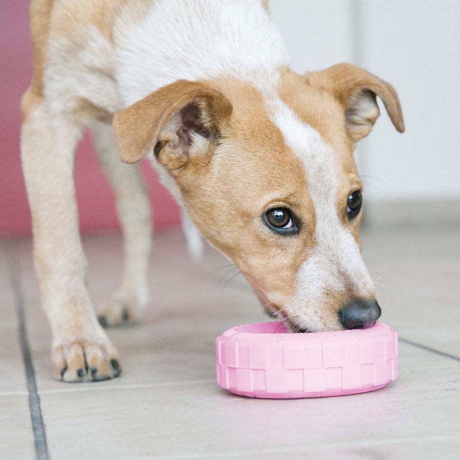 puppy kong tires s zabawka dla szczeniąt dla szczeniaka różowa niebieska s mała