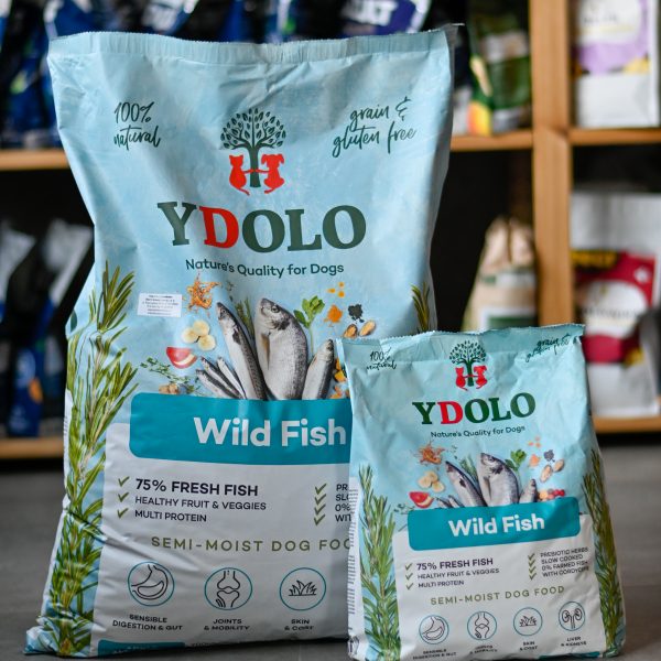 YDOLO-Wild-Fish