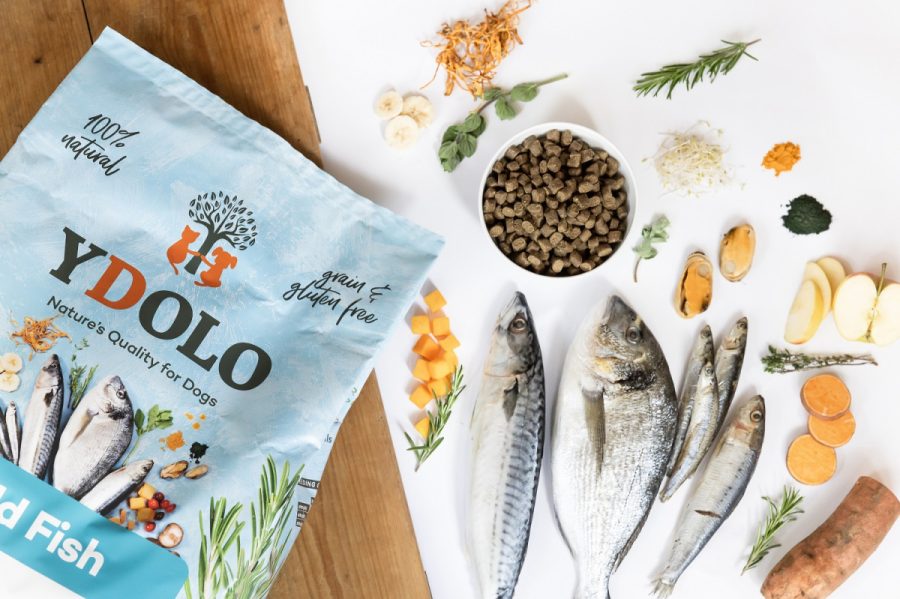 YDOLO Healthy Pure Wild Fish - ryby morskie karma półwilgotna dla psów 2,5 kg