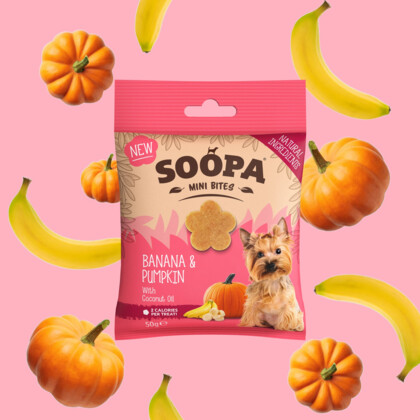 SOOPA Healthy Bites MINI dla małego psa – Banan i Dynia (50g)