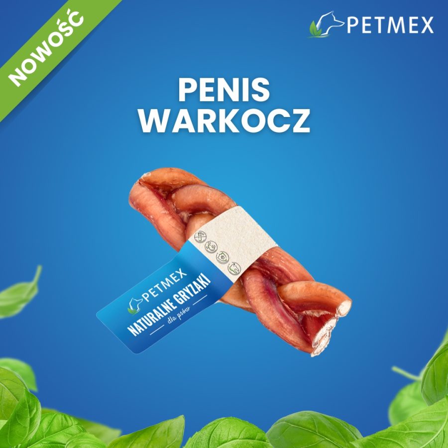 penis wołowy warkocz