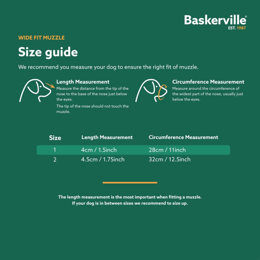 BASKERVILLE WIDE FIT CLASSIC 1