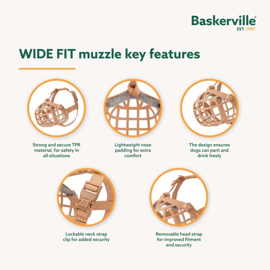 BASKERVILLE WIDE FIT CLASSIC 1