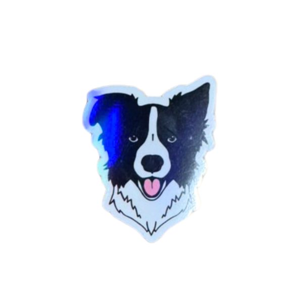 lenee magnes border collie