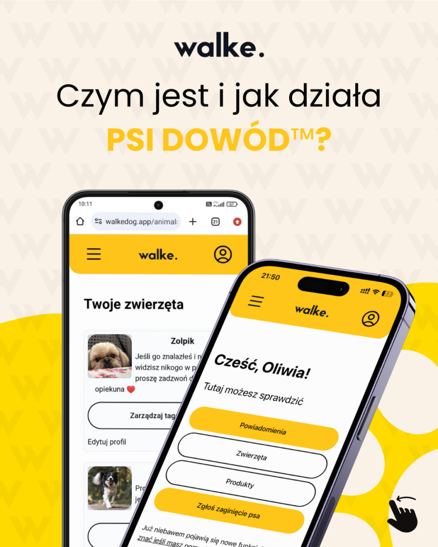 WALKEDOG Szelki dla psa z psim dowodem