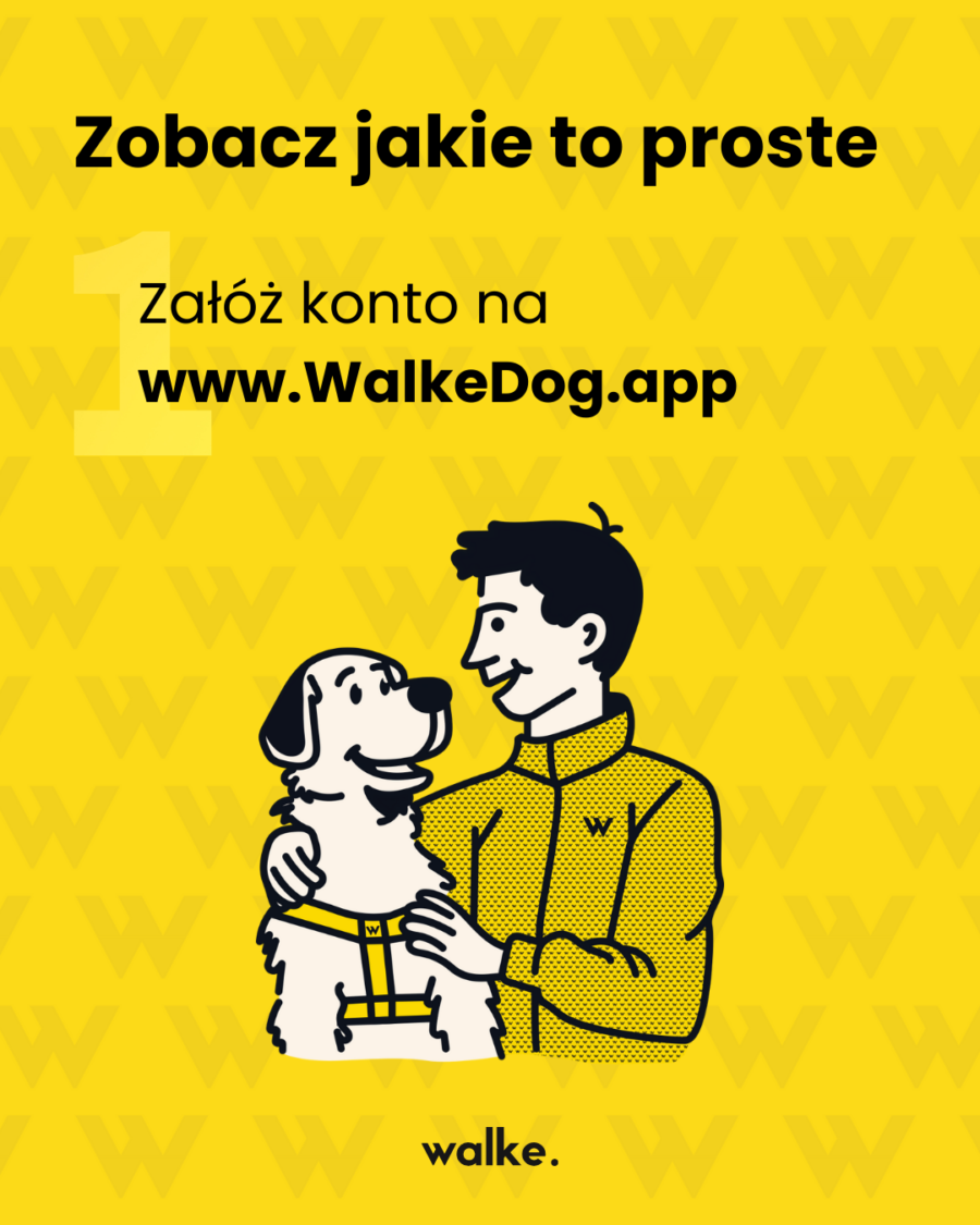 WALKEDOG Szelki dla psa z psim dowodem