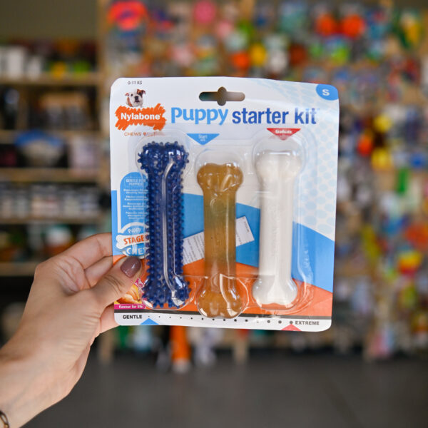 Nylabone Chicken Starter Kit S - zestaw trzech gryzaków dla szczeniaka