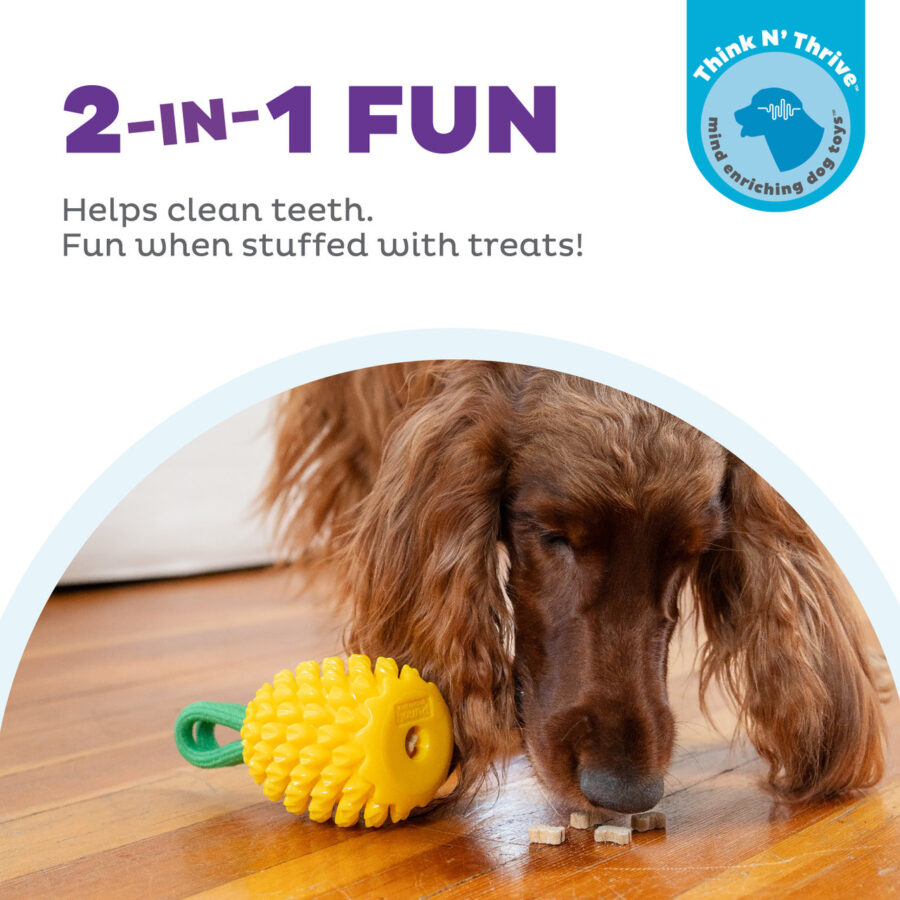 OUTWARD HOUND ZABAWKA DENTYSTYCZNA NA SMACZKI DENTAL PINEAPPLE ANANAS