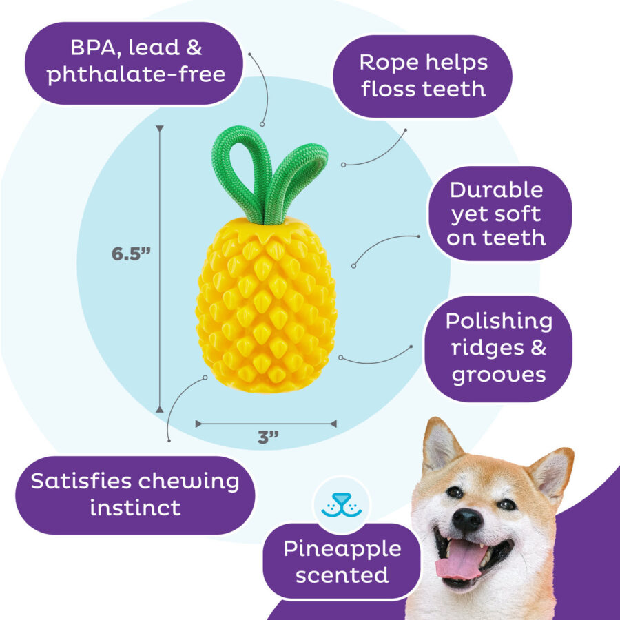 OUTWARD HOUND ZABAWKA DENTYSTYCZNA NA SMACZKI DENTAL PINEAPPLE ANANAS