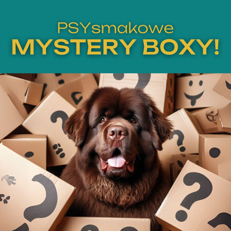 PSYsmakowe MYSTERY BOXY - sprawdź, który najlepiej pasuje do Twojego psiaka!