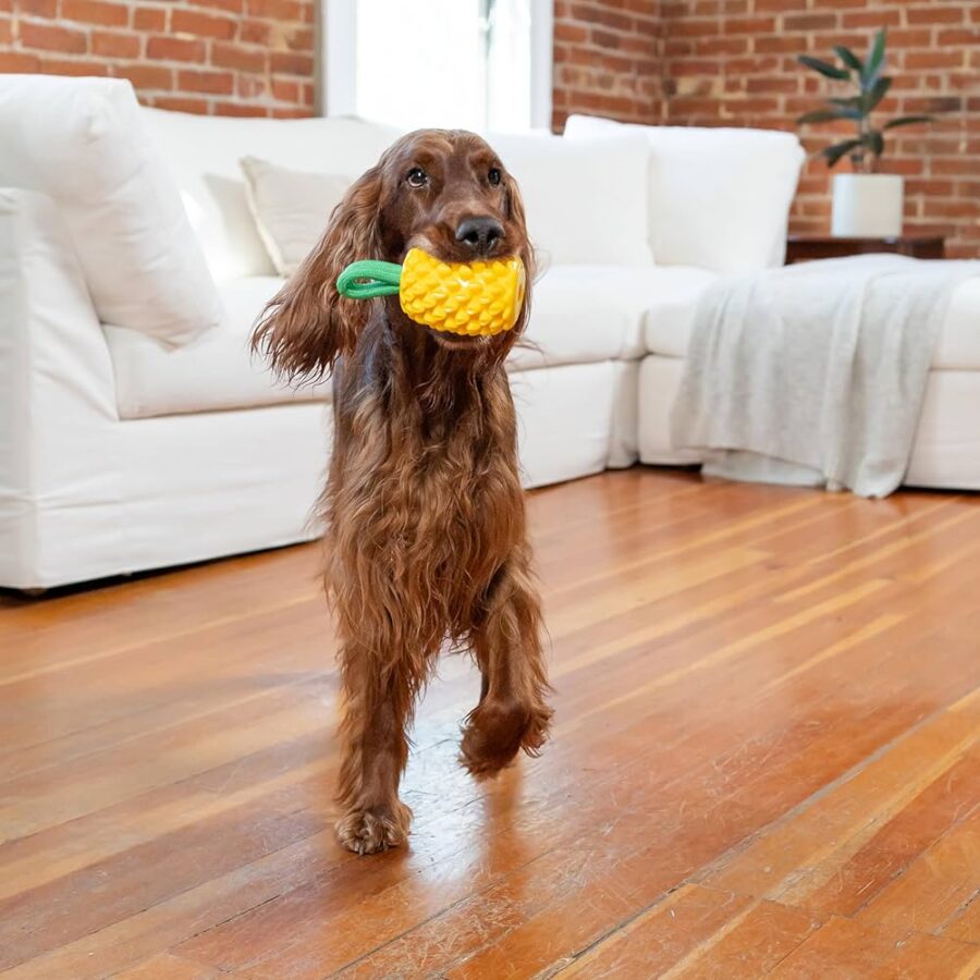 OUTWARD HOUND ZABAWKA DENTYSTYCZNA NA SMACZKI DENTAL PINEAPPLE ANANAS