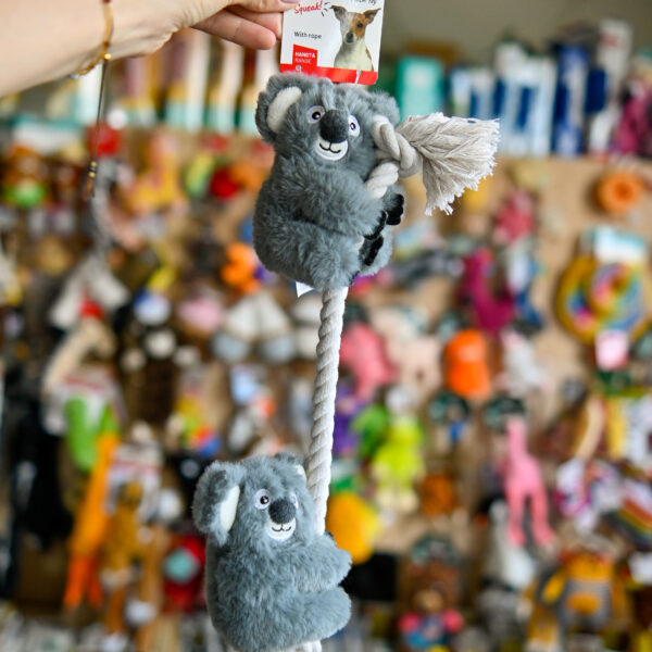 FLAMINGO Hangta - koala z liną szara zabawka dla psa