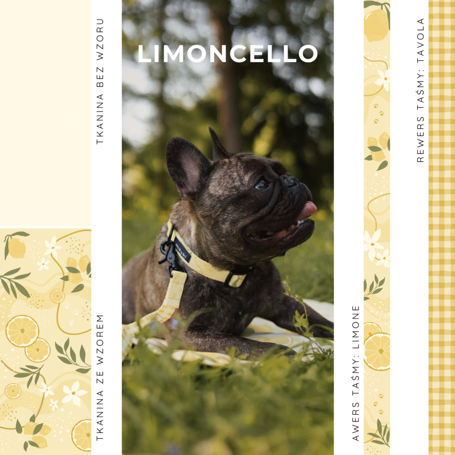 MOOKI - Szelki bezuciskowe we wzorze LIMONCELLO rozm S-L żółte