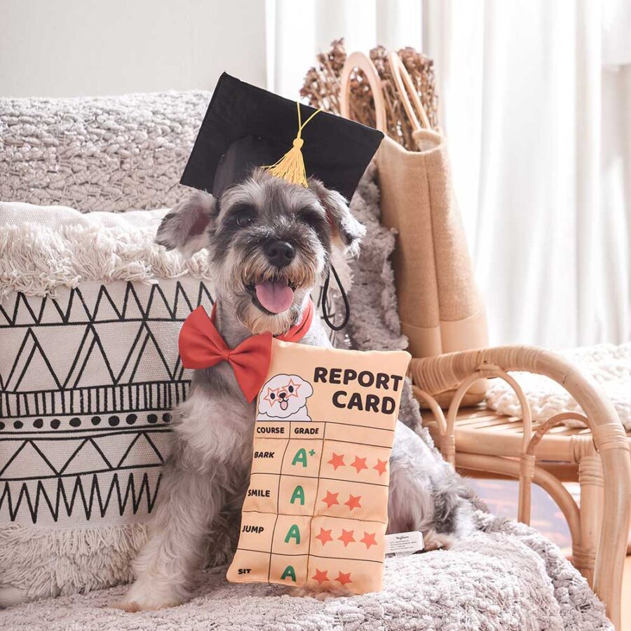Hugsmart Bark To School Report Card - świadectwo psa