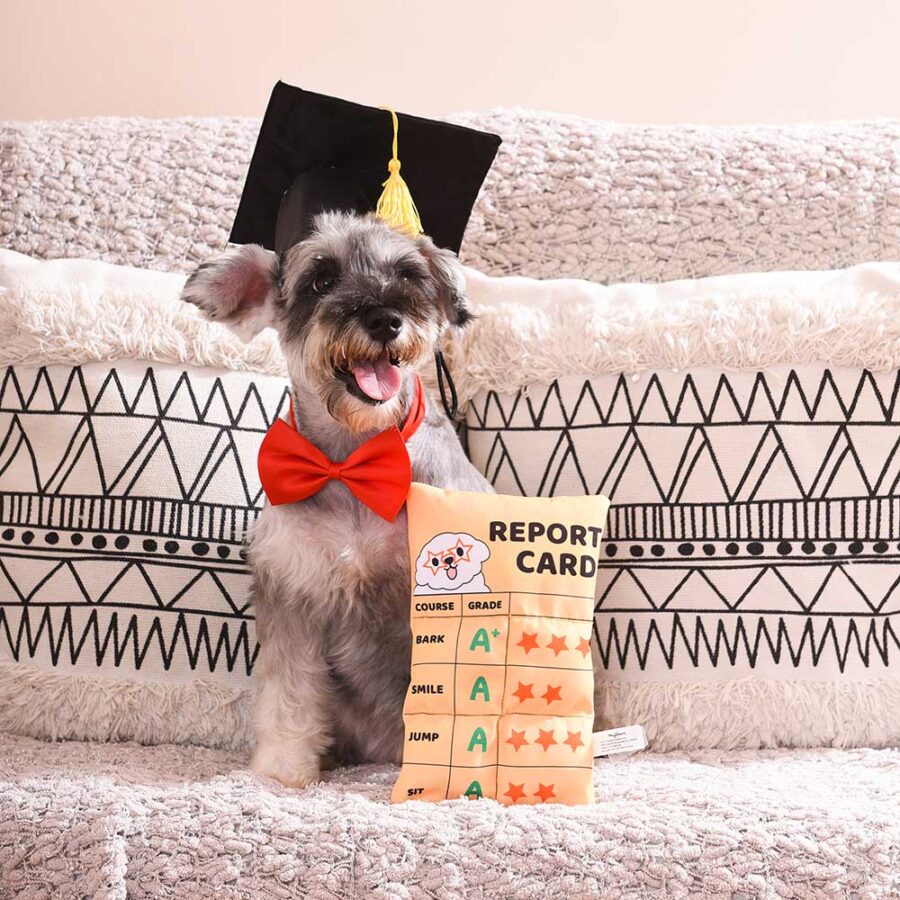 Hugsmart Bark To School Report Card - świadectwo psa