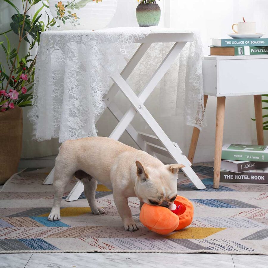 Hugsmart Fruity Critterz – Pumpkin dynia ze zwierzątkiem w środku