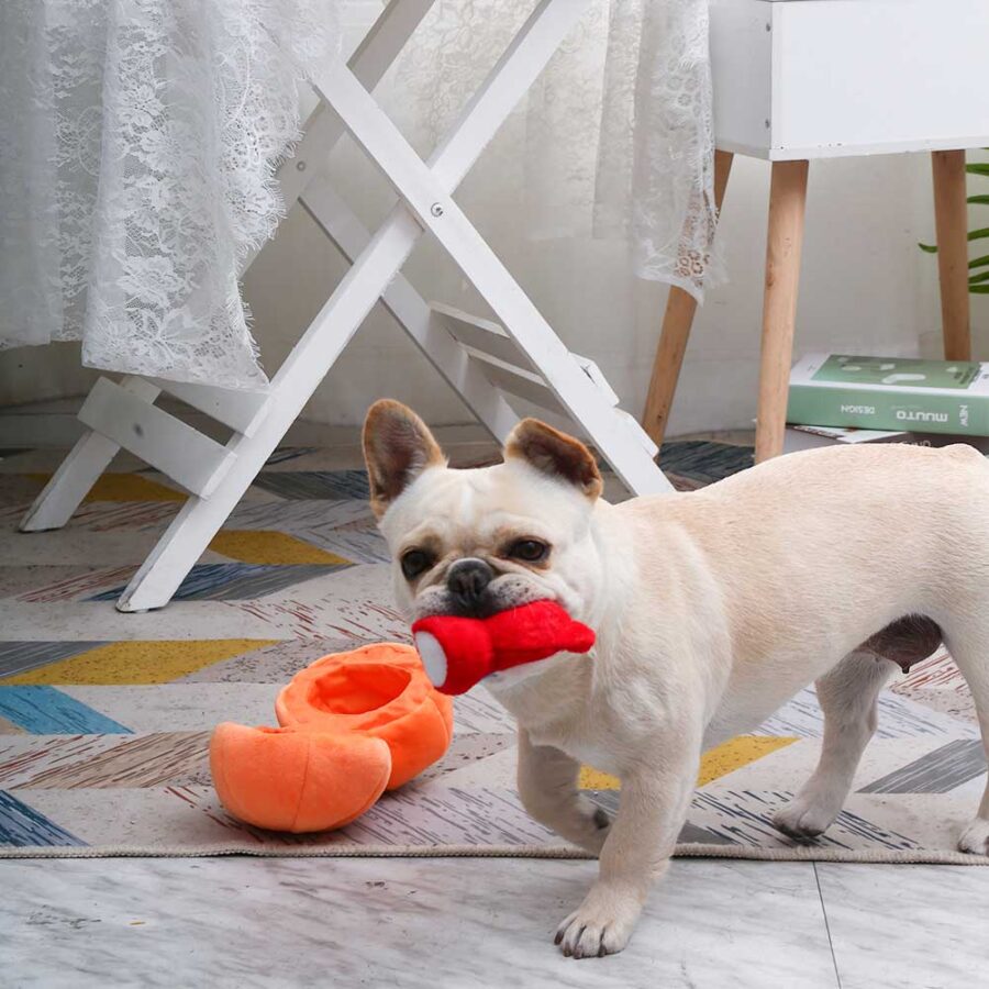 Hugsmart Fruity Critterz – Pumpkin dynia ze zwierzątkiem w środku