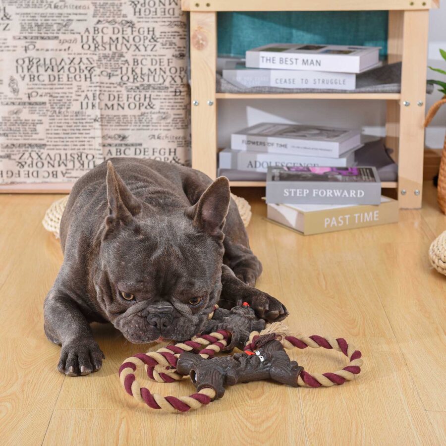 Hugsmart Rope Monster – Betty – Zabawka szarpak dla psa Potwór Linowy