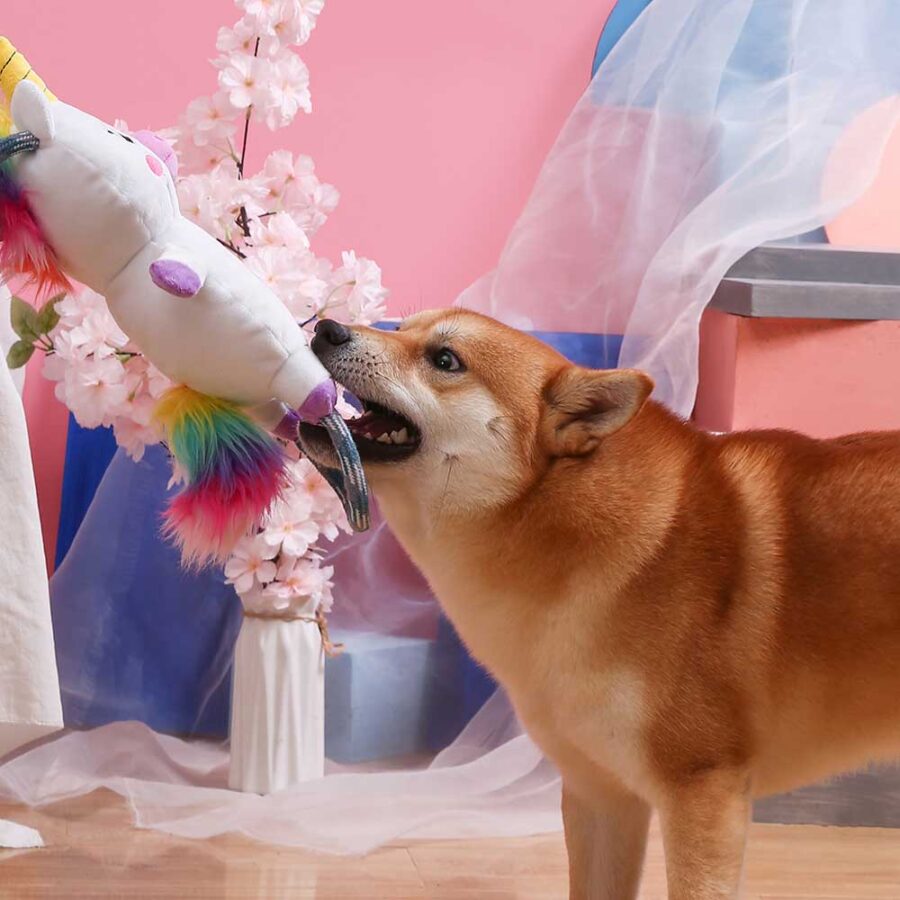 Hugsmart Fairytale Story – Unicorn jednorożec szarpak z linami