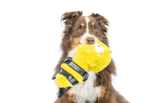 Lulubelles Power Plush Buzz Bee Small - pszczoła
