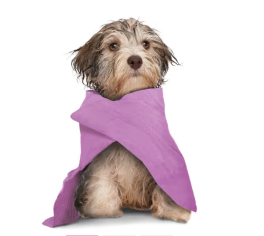 Record Dry Dog Towel 66x43cm Purple - ręcznik chłodzący dla psa i kota, fioletowy