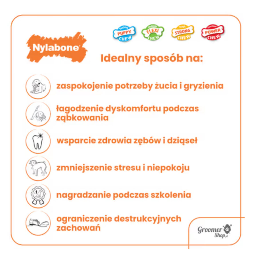 Nylabone Puppy Freezer Bone with Washcloth M - gryzak dla szczeniaka, do zamrażania