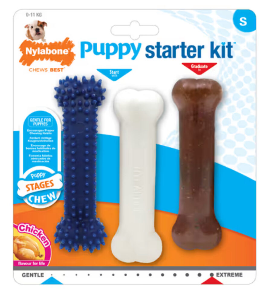 Nylabone Chicken Starter Kit S - zestaw trzech gryzaków dla szczeniaka