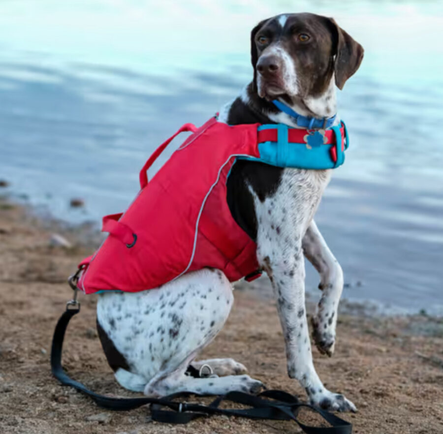 Kurgo Surf N Turf Life Jacket - kapok dla psa, kamizelka do pływania - L