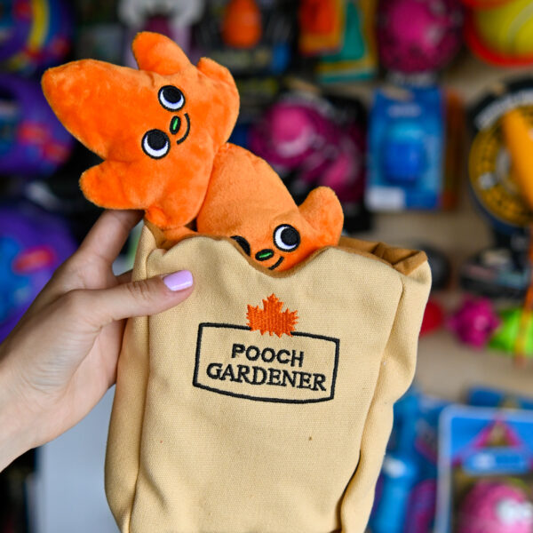 Hugsmart Autumn Tailz – węchowa Torba na liście