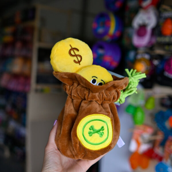 Hugsmart Pirate Pups – Treasure Bag torba węchowa pełna pieniędzy