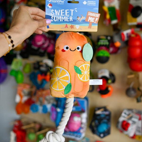 Hugsmart Beach Daze – Orange Popsicles lody na sznurze