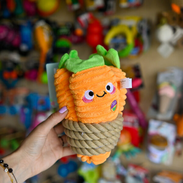 Hugsmart Puppy Garden – Carrot Bunch marchewki węchowe