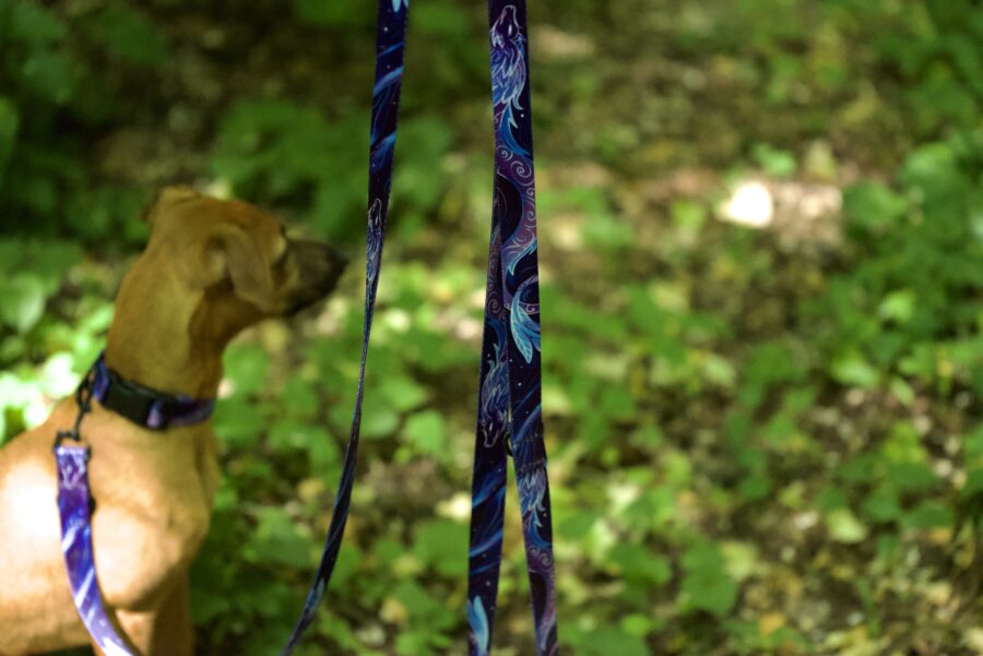FurryFriends - smycz przepinana 3 m + karabińczyk klasyczny we wzorze Magia Północy