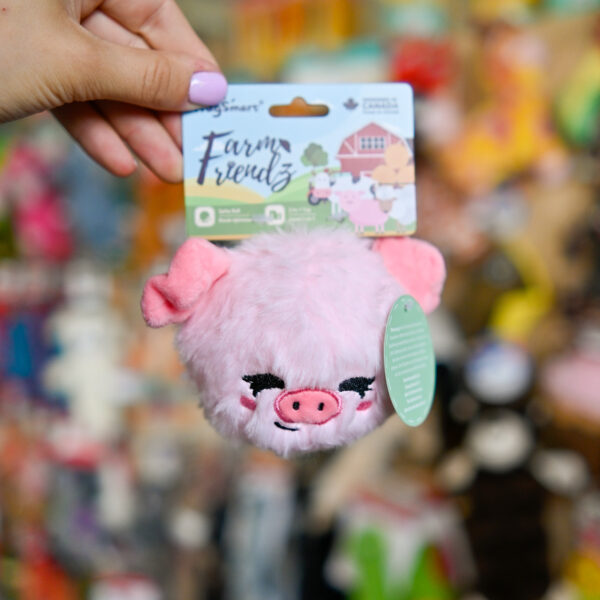 Hugsmart Farm Friendz – Pig Ball świnka z kolczastą piłką w środku
