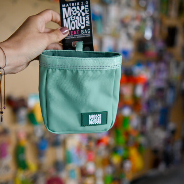 Max&Molly Treat Bag Matrix 2.0 - saszetka na smaczki, trenerki dla psa - miętowa
