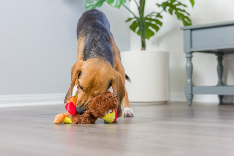 Lulubelles Power Plush Wishbone Turkey Large - pluszowy indyk