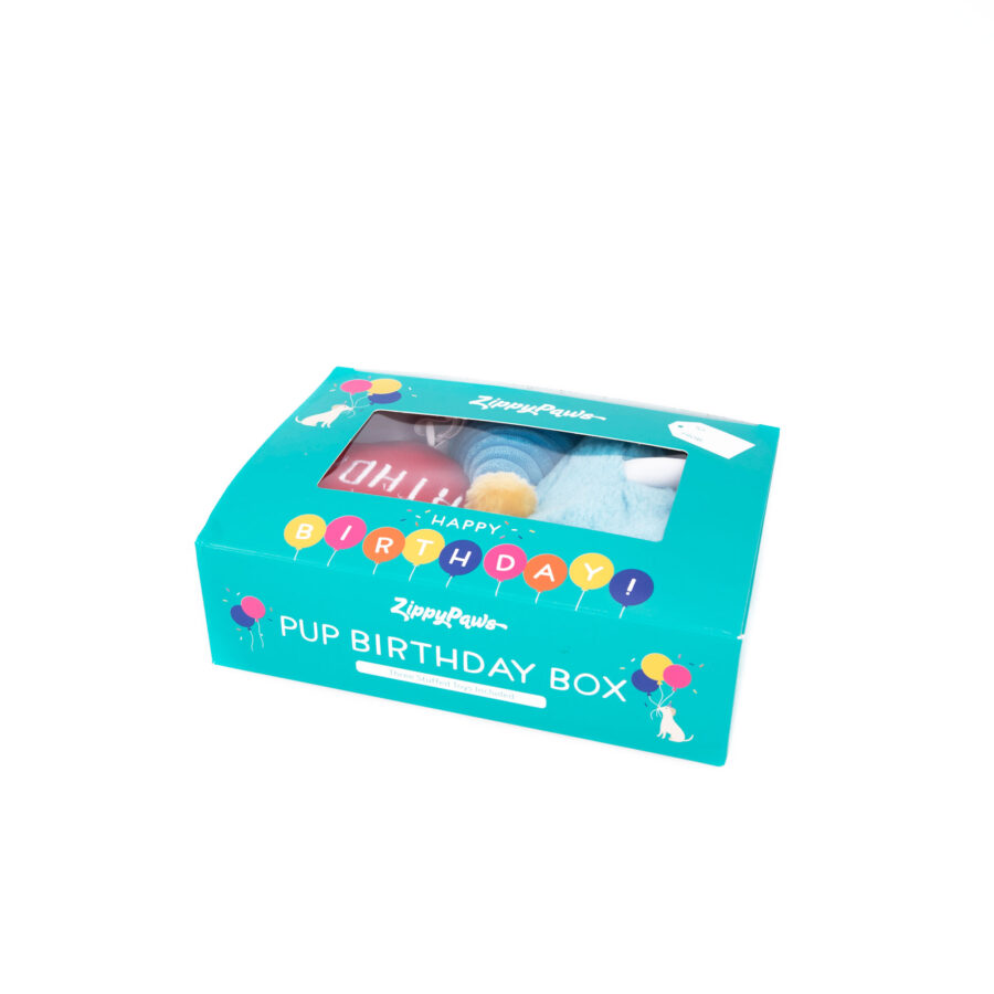 Zippy Paws Pup Birthday Box Blue – Urodzinowy niebieski box dla psa