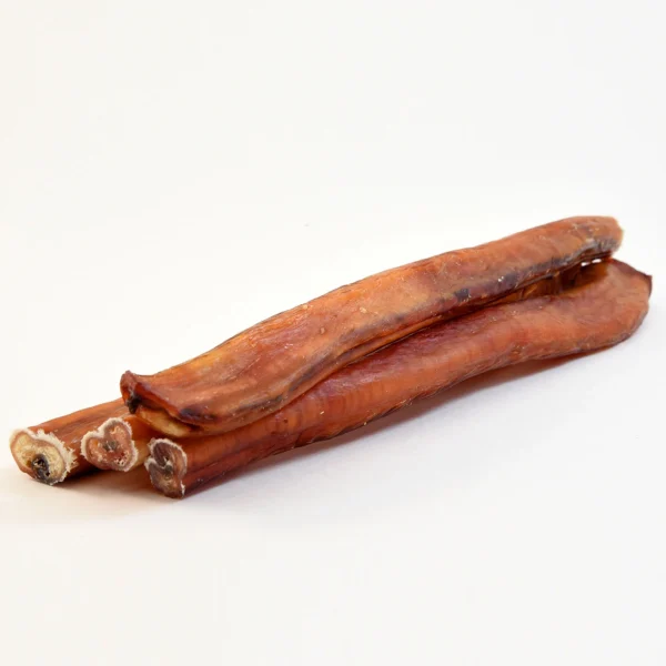 SANADOG Ochsenziemer Monster Penis wołowy 25 cm