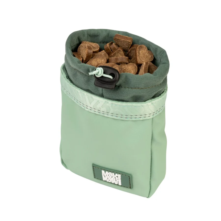 Max&Molly Treat Bag Matrix 2.0 - saszetka na smaczki, trenerki dla psa - miętowa