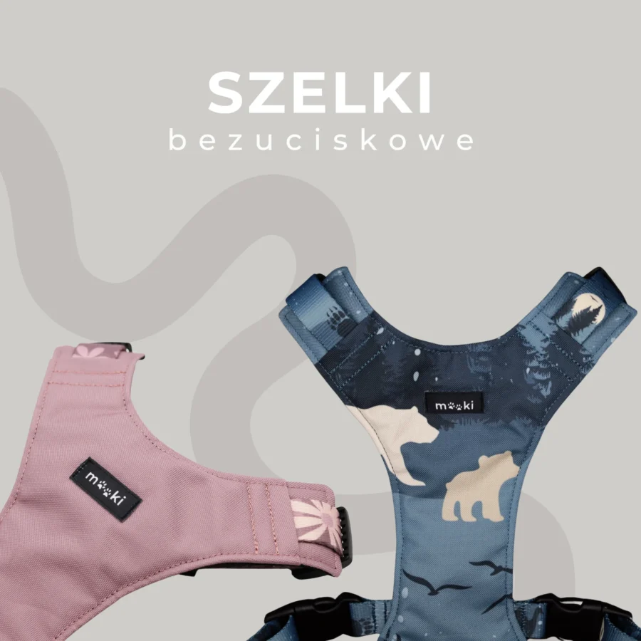 PRZEDSPRZEDAŻ: PSYsmak x MOOKI - kolekcja akcesoriów spacerowych „Dobrze, że jesteś” - obrazek 17