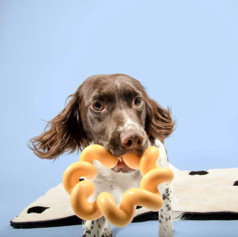 Coockoo Sunny Dog Zabawka Żółta gumowe skręcone ringo